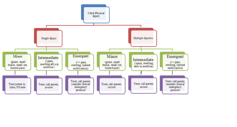 Clinical Child Injury Flowchart - Dove Green